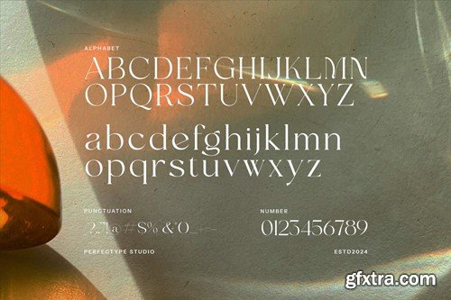 Fagon Modern Serif Font GFDRR2N