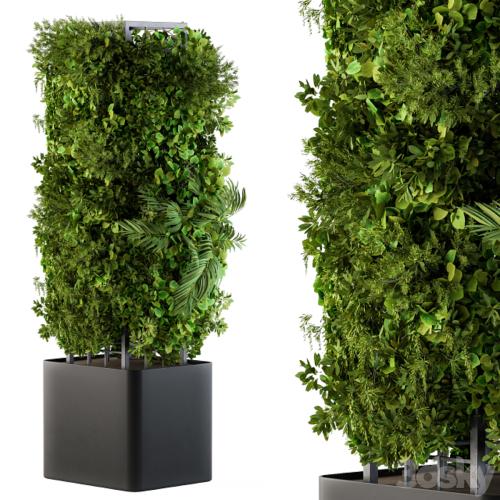 Outdoor Plant Box - Vertical Garden 02