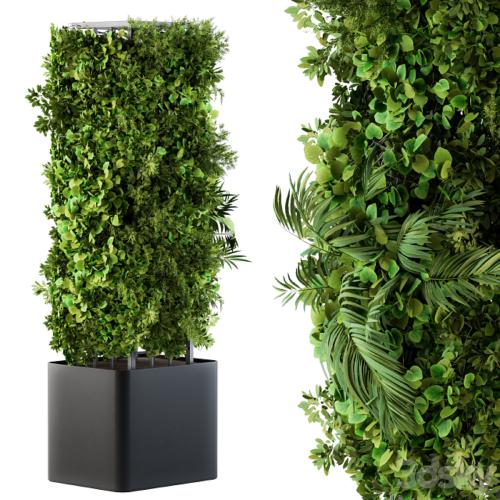 Outdoor Plant Box - Vertical Garden 02