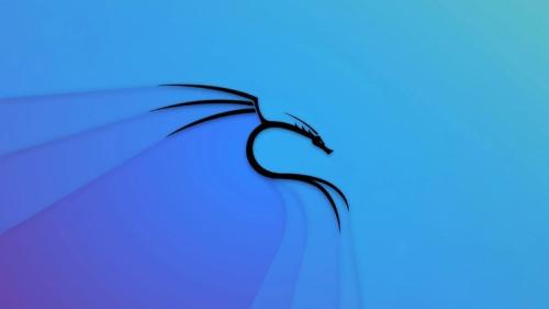 Udemy - Kali Linux Certification Course: Hacking with Kali Linux