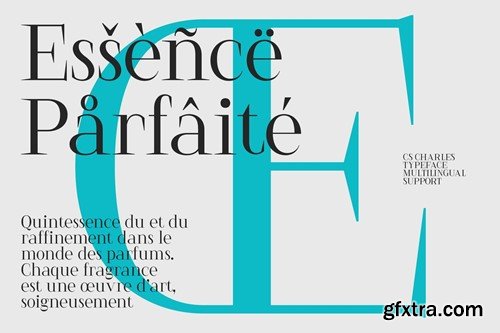 Charles – Serif Font LPSK44X