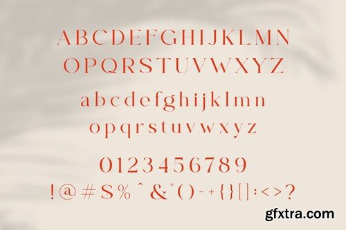 Caughe - Modern Elegant Serif 3UQB73R