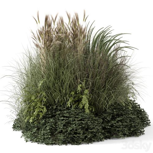 Outdoor Plants Bush-Bush Set 1644