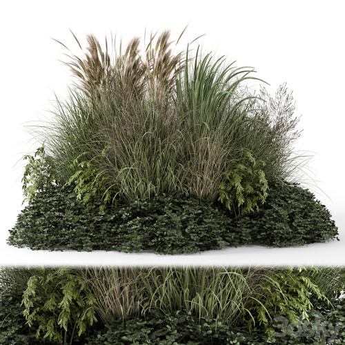 Outdoor Plants Bush-Bush Set 1644