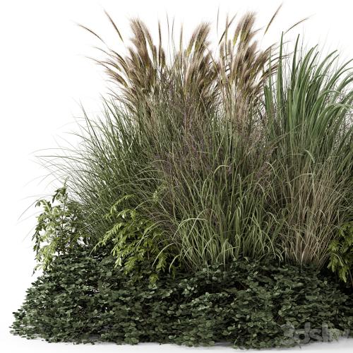 Outdoor Plants Bush-Bush Set 1644