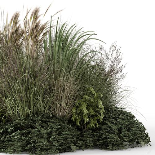 Outdoor Plants Bush-Bush Set 1644