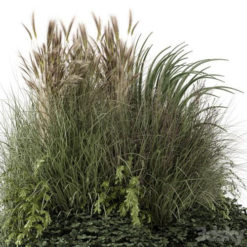 Outdoor Plants Bush-Bush Set 1644