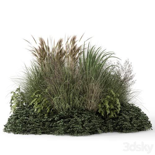 Outdoor Plants Bush-Bush Set 1644