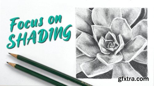 Mastering Shading: How To Get A Realistic Effect With Graphite Pencils