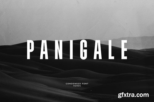 Panigale - Condensed Font 2QBNERY