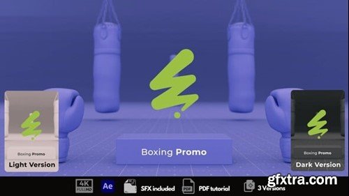 Videohive Boxing Promo 54928552