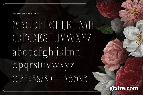 Mrealish - Unique Display Serif Typeface LGAK8RN