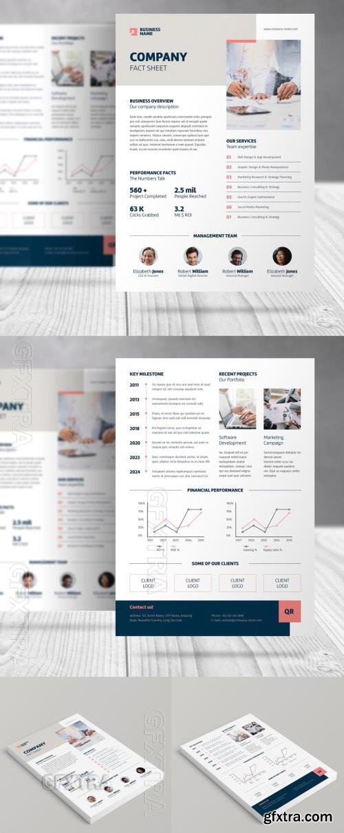 Business Company Data Sheet Template 766205476