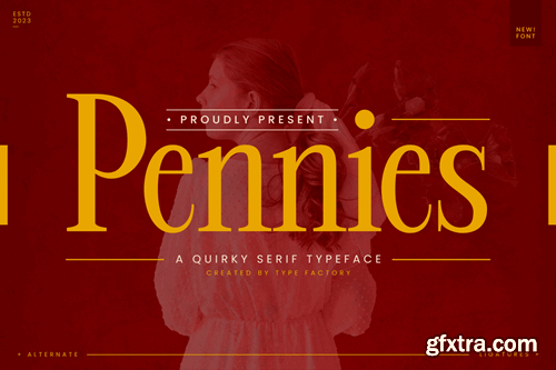 Pennies - Quirky Serif Typeface 6BGVTN5