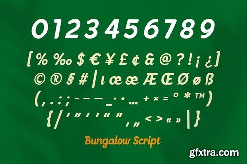 Bungalow - Modern Script Font 3ZRGYMT