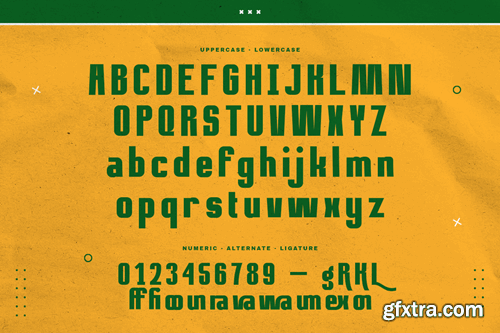 Ramone - Bold Typeface 3N42RTD