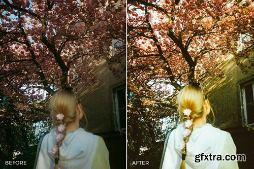 Analog Film Lightroom Presets Mobile & Desktop RCP99PF