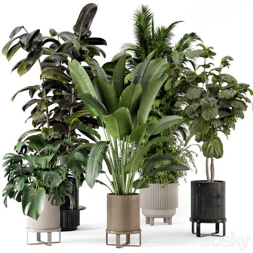 Indoor Plants in Ferm Living Bau Pot Large - Set 734