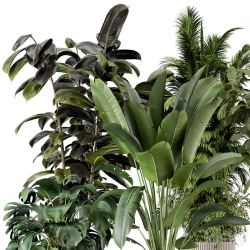 Indoor Plants in Ferm Living Bau Pot Large - Set 734