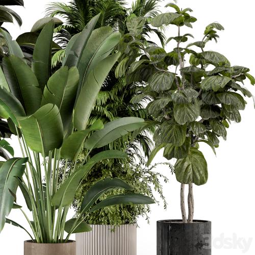 Indoor Plants in Ferm Living Bau Pot Large - Set 734