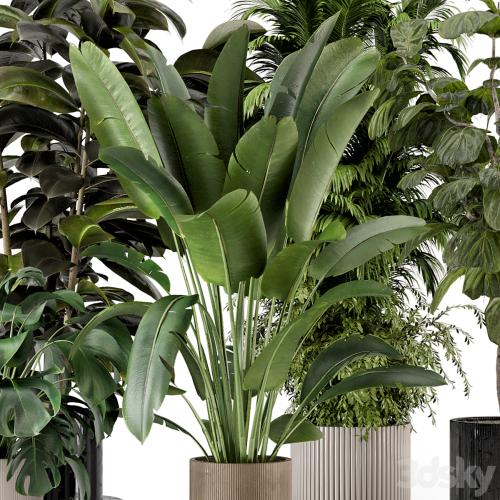 Indoor Plants in Ferm Living Bau Pot Large - Set 734