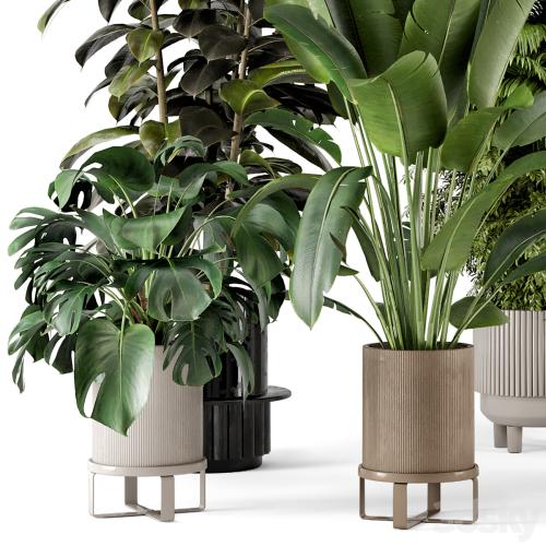 Indoor Plants in Ferm Living Bau Pot Large - Set 734