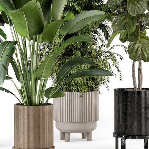 Indoor Plants in Ferm Living Bau Pot Large - Set 734