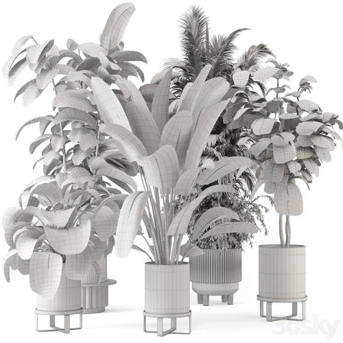 Indoor Plants in Ferm Living Bau Pot Large - Set 734