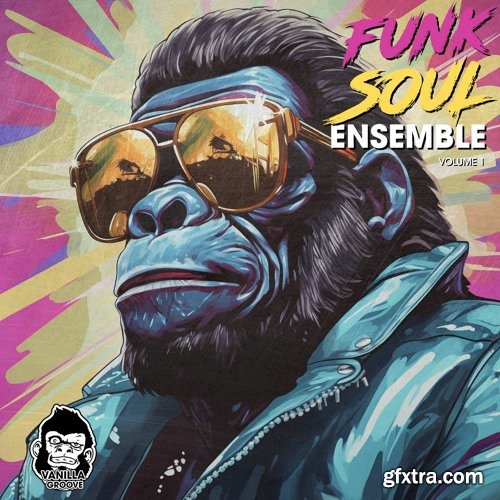 Vanilla Groove Studios Funk Soul Ensemble Vol 1