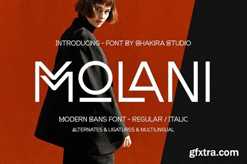 Molani - Modern Sans Font 23SG4E7