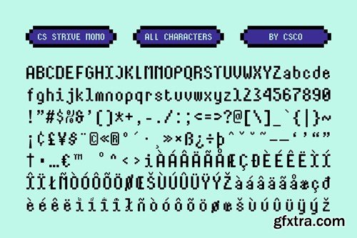 Strive Mono – Monospaced Font FCS6JHH