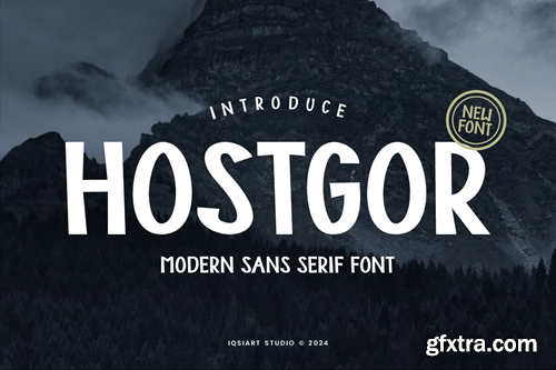 Hostgor - Modern Sans Serif Font Y5UMEU7