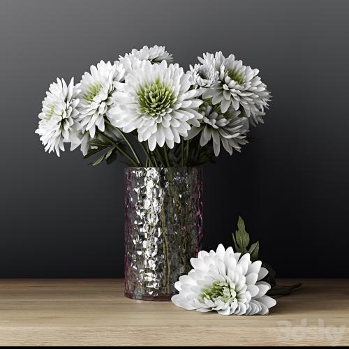 Chrysanthemums