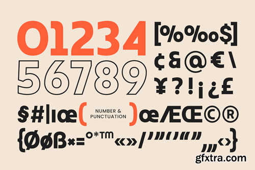 New York - Modern Professional Font FSZ46GX