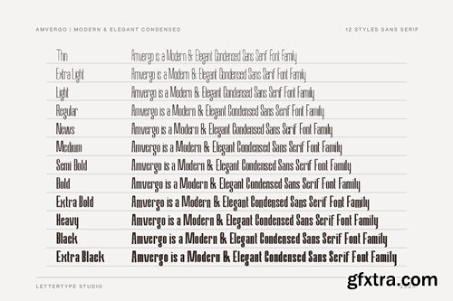 Amvergo Modern & Elegant Sans Serif Family 4ADSNEL