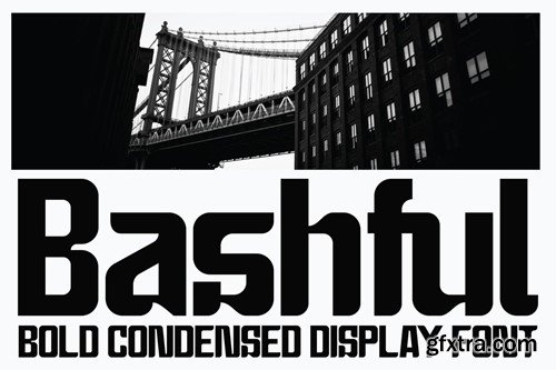 Bashful - Sans Condensed Font LJZBX9U