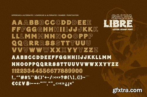 Salva Libre - Letter Stamp Font TE7G4T3