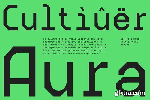 Arcel Mono – Monospaced Font R49VUU9