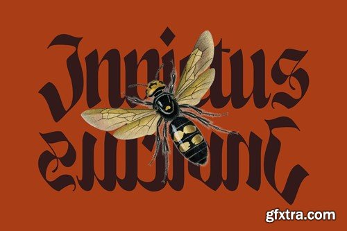 Enigmatic Waesbendiy - Modern Blackletter C47G9PB