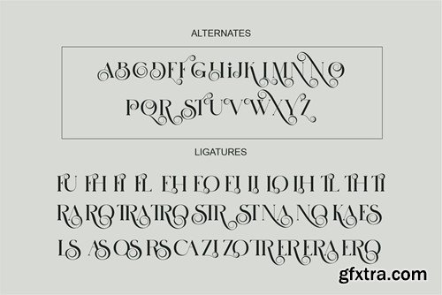 Afhira Modern Serif Font WEHA5NK