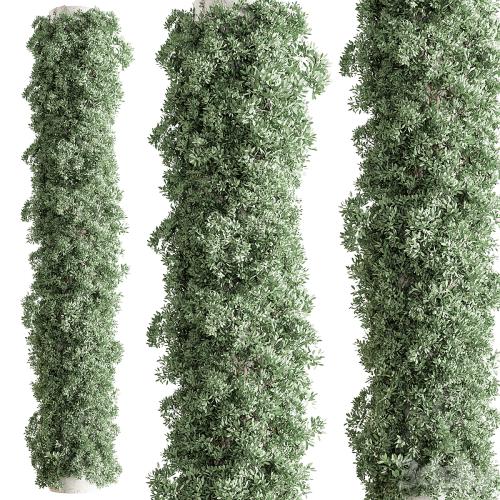 Column Vertical Garden - Wall Decor 93