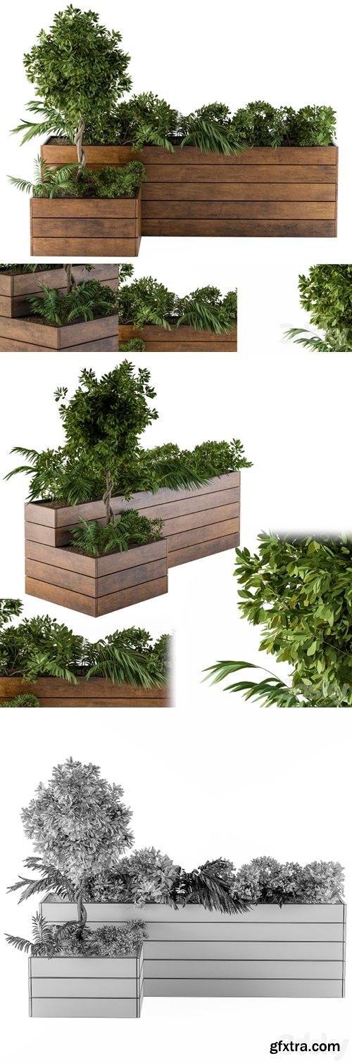 outdoor-plants Flower Box