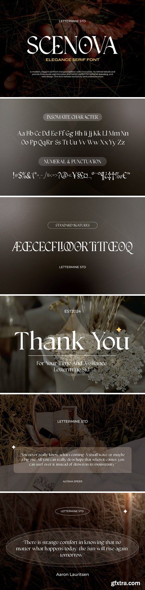 Scenova Elegant Serif Font