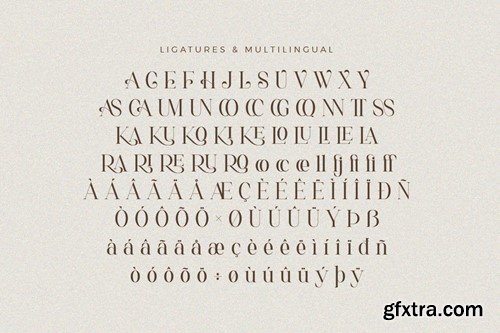 Arunica Classy Serif Font T2LTFVY