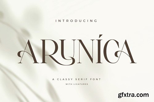 Arunica Classy Serif Font T2LTFVY