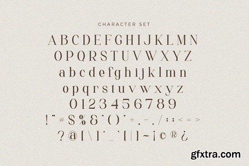 Arunica Classy Serif Font T2LTFVY