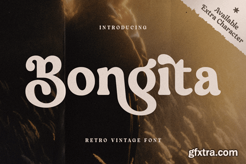 Bongita - Retro Vintage Font PJZ979T