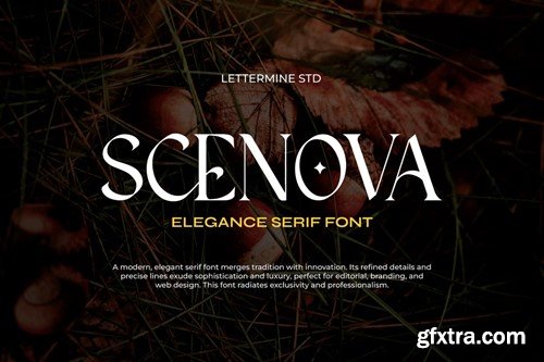 Scenova - Elegant Serif XY75E6P