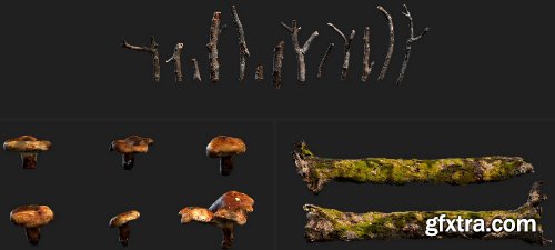 Quixel Mountain Slope 3D Asset Collection