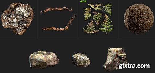 Quixel Mountain Slope 3D Asset Collection